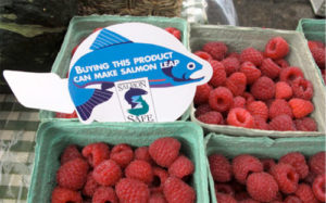 Salmon Safe eco label