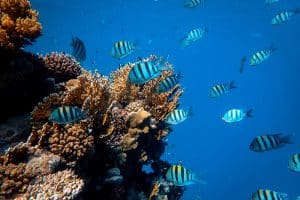 pexels-francesco-ungaro-3854025