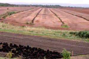 1242246036ET_Peatlands