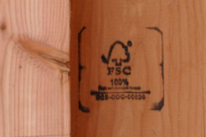 image_2021-12-21_195111