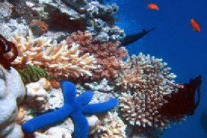 image_2021-12-21_195522