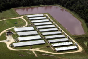 image_2021-12-21_194215