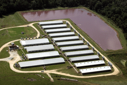 image_2021-12-21_194215