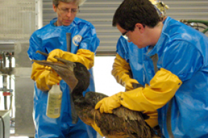 image_2021-12-21_193208