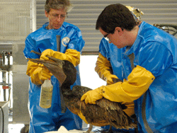 image_2021-12-21_193208