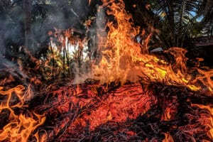 pexels-guduru-ajay-bhargav-948270