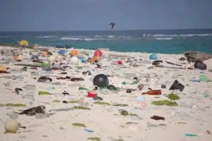 Plastic to oil, credit: US FWS, FlickrCC