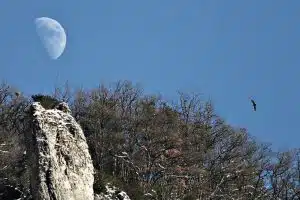 Changing Planet, Changing Health, Credit: Images Improbables, FlickrCC