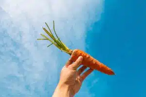 orange-carrot-1721073