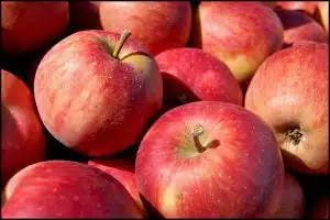 Apples with Pesticides, Credit: Tom Gill, FlickrCC