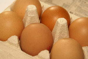 Egg, Credit: Ian Britton, FlickrCC