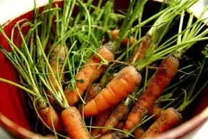 Carrot contain lots of orange antioxidants. Credit: Steven Depolo, FlickrCC