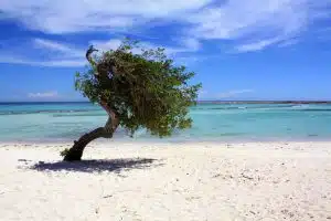 Aruba