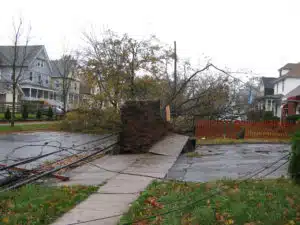 Hurricane Sandy damage underscores the need for distributed power. Credit: Ann Oro, FlickrCC