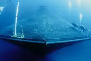 sustainable aquaculture — Credit: Oceanic Institute, NOAA