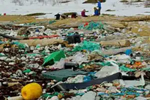 b_beachdebris