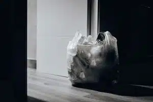 plasic bag ban