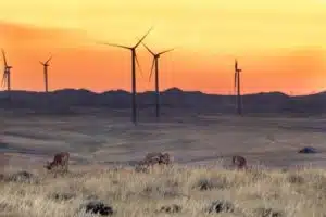 Clean Power Plan