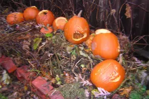 Recycle Pumpkins. Credit: Jim Reynolds (CC BY 2.0)