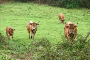 Credit: Olga Berrios, FlickrCC