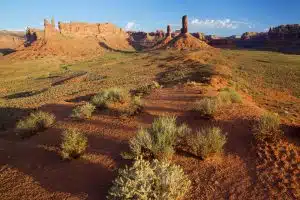 bears ears