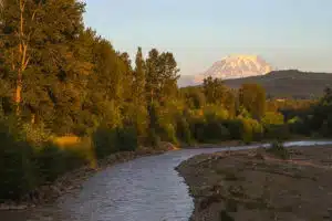 Puyallup Watershed