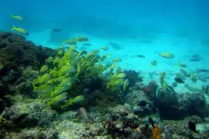 Sustainable Tourism