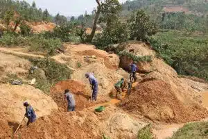 Sustainable Technology