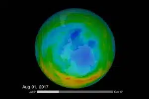 ozone depletion