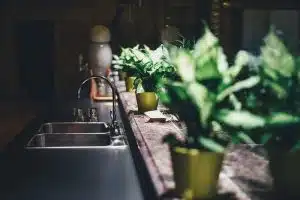 indoor gardening