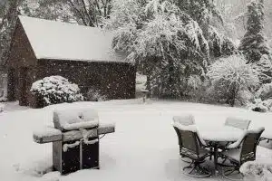 winter lawn care tips