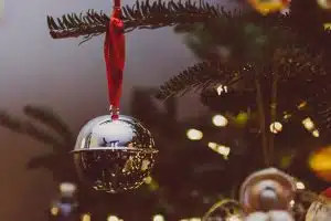 eco-friendly holidays