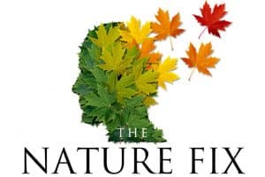 nature fix