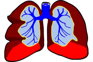 respiratory health