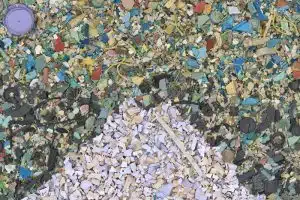 ingesting microplastics