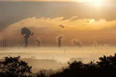 air pollution lower IQ