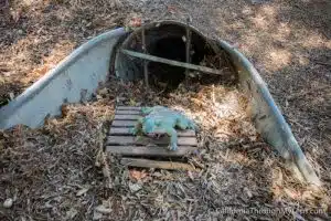 toad tunnel