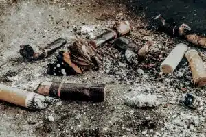 cigarettes and the environment