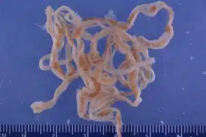 Credit: credit: FWC Research on VisualHunt / CC BY-NC-ND