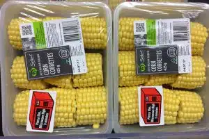 grocery chains plastic