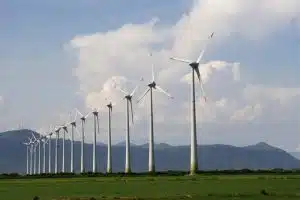 windmills