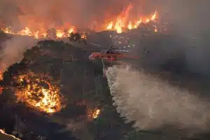 wildfire