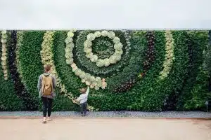 green wall