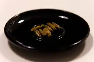 eating bugs