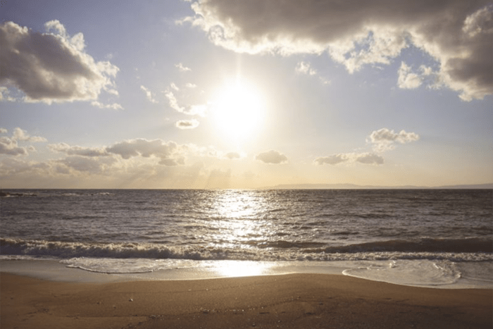 myopia. Catalogue/Flickr