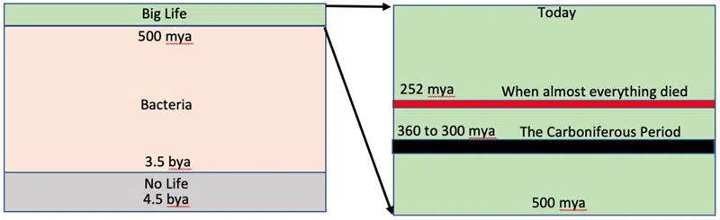 Carboniferous 