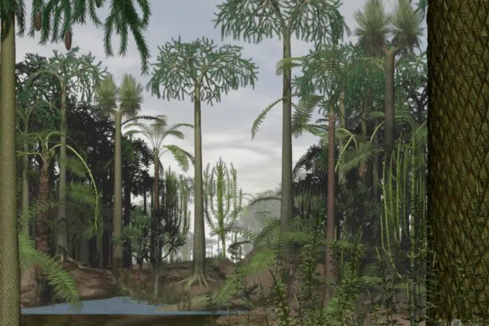 Carboniferous