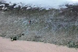melting permafrost