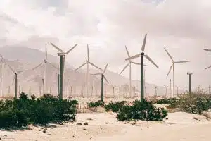 green technology. Photo by Ricardo Esquivel from Pexels
