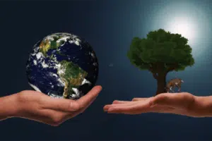 hand earth tree